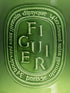 Figuier / Fig Tree Giant Candle
